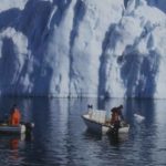 Indhandlingen af torsk fra 2022 til 2023, især i det kystnære fiskeri, løftede den samlede indhandling til det højeste niveau i perioden som er fastholdt siden.