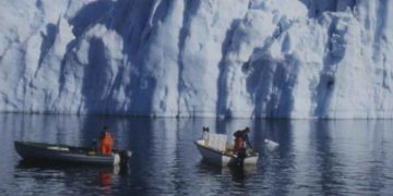 Indhandlingen af torsk fra 2022 til 2023, især i det kystnære fiskeri, løftede den samlede indhandling til det højeste niveau i perioden som er fastholdt siden.