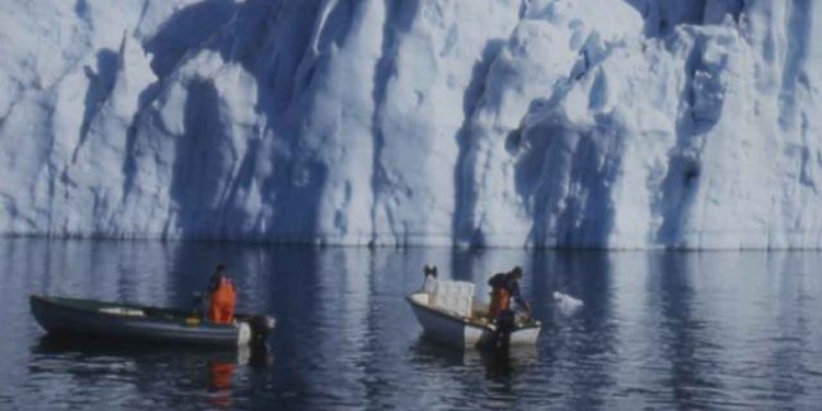 Indhandlingen af torsk fra 2022 til 2023, især i det kystnære fiskeri, løftede den samlede indhandling til det højeste niveau i perioden som er fastholdt siden.