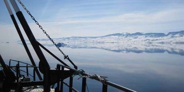 Grønlandske fiskeindustrier gør også krav på de nye fiskearter.  Foto: Grønlandsk fiskeri - fotograf: Hos89