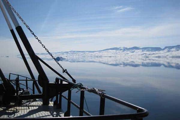 Read more about the article Grønlandske fiskeindustrier gør også krav på de nye fiskearter.