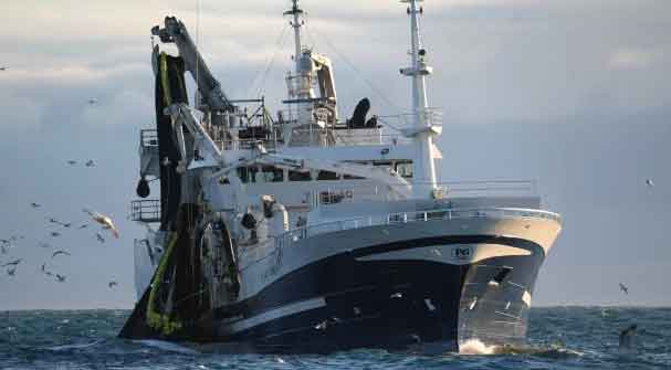 Read more about the article Færøerne: Grønlandske fartøjer lander store loddefangster