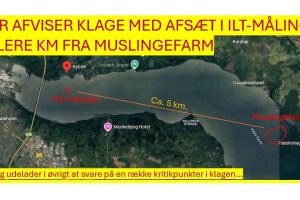 Et af de mere spektakulære scener i DR’s program viser søstjerner, som ifølge programmet “gisper efter luft” og kravler op på muslingeliner under et påstået iltsvind i Vejle Fjord. DR støtter op med henvisning til iltmålinger fra Bybæk-målestationen – men stationen ligger omtrent 5 km væk i luftlinje fra den viste muslingefarm. At konkludere iltsvind på baggrund af målinger så langt væk virker både søgt og metodisk tvivlsomt. fotoillustration Growz