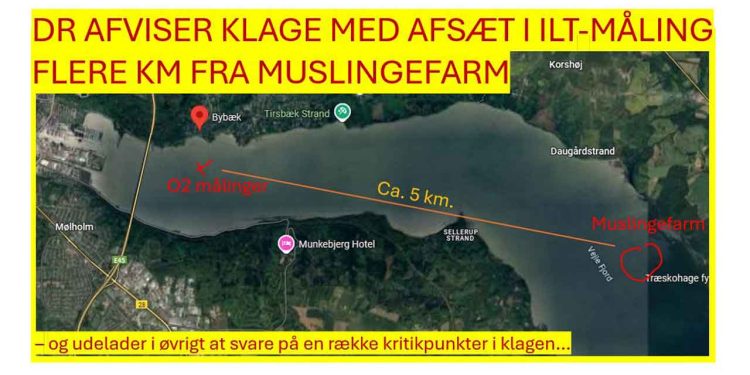 Et af de mere spektakulære scener i DR’s program viser søstjerner, som ifølge programmet “gisper efter luft” og kravler op på muslingeliner under et påstået iltsvind i Vejle Fjord. DR støtter op med henvisning til iltmålinger fra Bybæk-målestationen – men stationen ligger omtrent 5 km væk i luftlinje fra den viste muslingefarm. At konkludere iltsvind på baggrund af målinger så langt væk virker både søgt og metodisk tvivlsomt. fotoillustration Growz