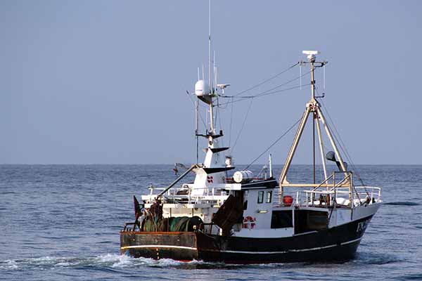 Read more about the article Fiskeriministeren ødelægger dansk fiskeri med sin kamera-ordre