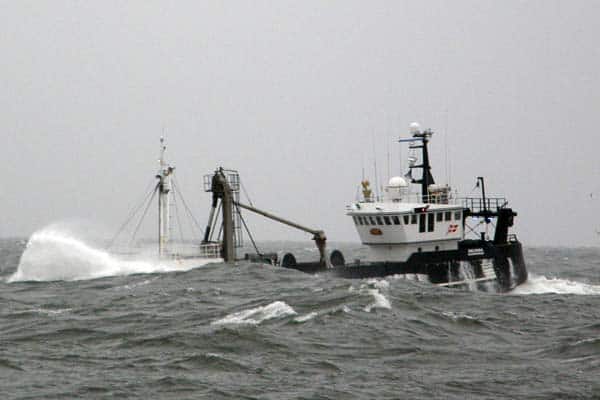 Read more about the article Udsættelse af starttidspunktet for tobisfiskeriet i 2012