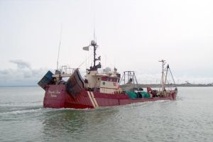 Fiskemelsforeningen kræver sperling kvote i Nordsøen. Foto H.Kinch