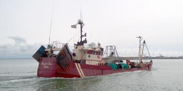 Fiskemelsforeningen kræver sperling kvote i Nordsøen. Foto H.Kinch