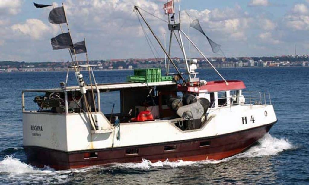 Read more about the article Søg om 2/3 af kystfiskertillæg på torsk, tunge og rødspætter