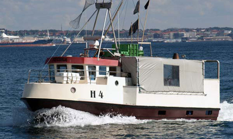 Read more about the article Danske kystfiskere mener som Kollerup (A) og Poulsen (DF)