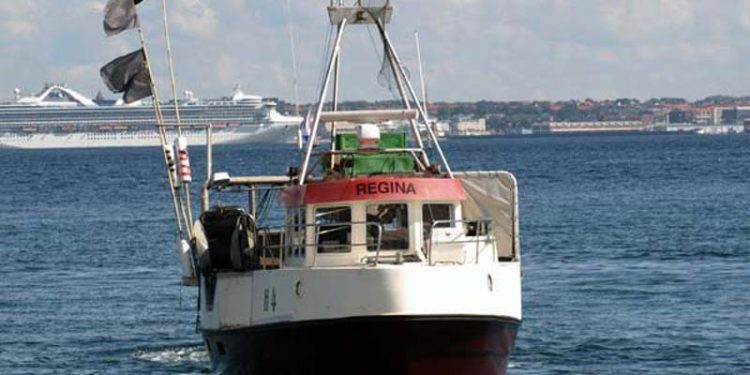 kystfiskerforening mener at omsættelige kvoter kvæler kystfiskeriet.  Arkivfoto: H4 Regina - Solac