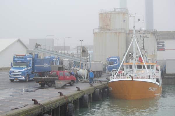 Read more about the article Trawleren HG 236 Milton landede måske sin sidste last tobis for i år.