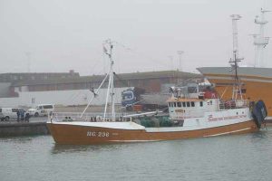 Trawleren HG 236 Milton landede måske sin sidste last tobis for i år.   foto: HG 236 Milton - Henning Hansen