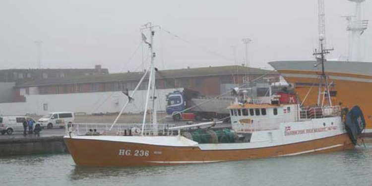 Trawleren HG 236 Milton landede måske sin sidste last tobis for i år.   foto: HG 236 Milton - Henning Hansen