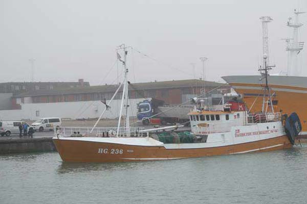 Read more about the article Trawleren HG 236 Milton landede måske sin sidste last tobis for i år.