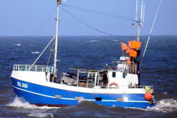 Read more about the article EU`s Fiskeriforhandlinger med Norge gav plus på TAC`en