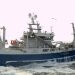 Færøerne: Dansk pelagisk trawler lander blåhvilling til Havsbrún foto: RCS