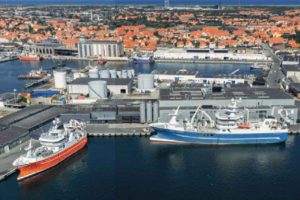 HG 62 Beinur i færd med at losse sild til Scandic Pelagic. foto: FF Skagen