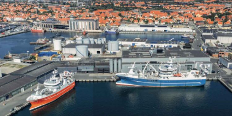 HG 62 Beinur i færd med at losse sild til Scandic Pelagic. foto: FF Skagen