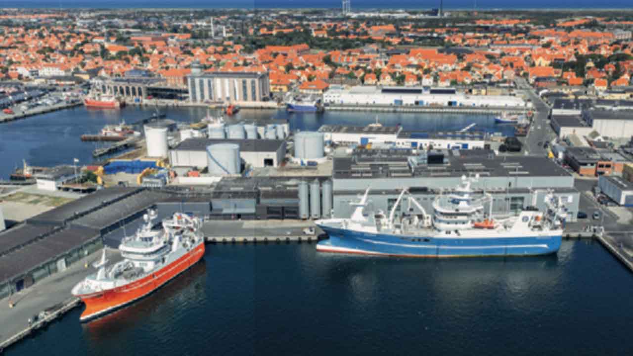 Read more about the article Efter hårdt sildeår: FF Koncernen sætter kurs mod nye muligheder i brislingen