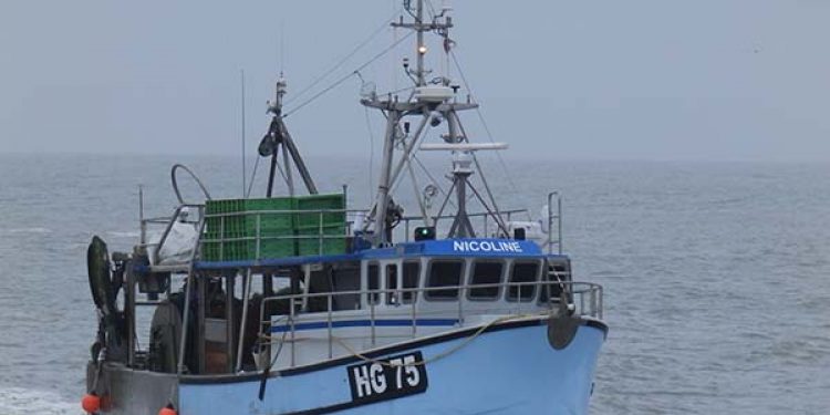 Dårlige afregningspriser på fisk får nu flere fiskere op i det røde felt.  Foto: HG 75 Nicoline -  PmrA