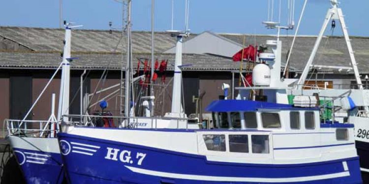Så kom den - Minister ændrer melderegler for danske fiskere.  Foto: HG7 Niels Jensen - Hirtshals - PmrA