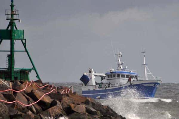 Read more about the article Husk nu de nye regler for melding og landing