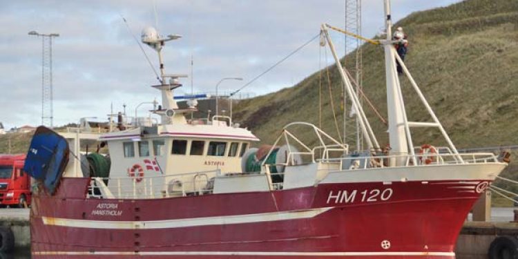 Hanstholm trawler fik uhyggelig fangst.  Foto: HM 120 Astroria Hanstholm - fotograf: H.Hansen