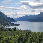 Varangerfjorden har i generationer været et af Nord-Europas mest artsrige områder – et mødested mellem Barentshavet og det arktiske økosystem, hvor torsk, lodde, sild og utallige andre fiskearter har fundet både skjul, føde og gydepladser. I dag beskriver Arne Pedersen området som en fjord, »der er ved at miste pusten«. foto wikipedia