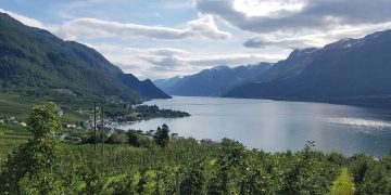 Varangerfjorden har i generationer været et af Nord-Europas mest artsrige områder – et mødested mellem Barentshavet og det arktiske økosystem, hvor torsk, lodde, sild og utallige andre fiskearter har fundet både skjul, føde og gydepladser. I dag beskriver Arne Pedersen området som en fjord, »der er ved at miste pusten«. foto wikipedia