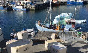 Gyldne dage for leverandørerne til Halibut Greenland Aps  Foto: Havnen i Iluissat - Fotograf: RNielsen
