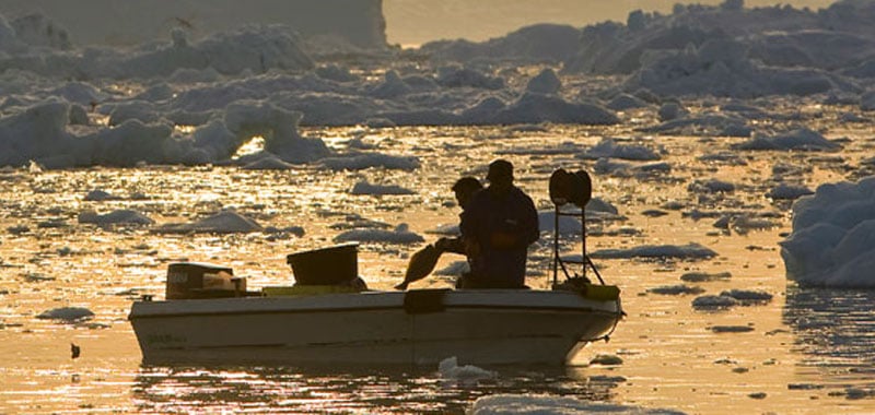 Read more about the article Halvering af fiskeriet efter grønlandske hellefisk får nu konsekvenser