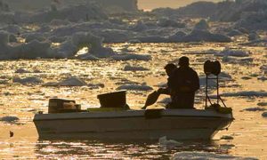 Grønlandsk fiskeriorganisation mener der fiskes for hårdt indenskærs. Arkivfoto: Hellefiskeri i Grønland - Halibut - Greenland