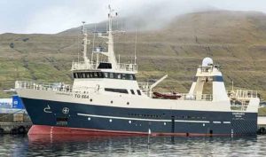 Der har været god aktivitet i havnen i Hvalba i den forgangne uge, hvor partrawlerne Hamranes og Breiðanes har landet en betydelig fangst af overvejende sej, efter fiskeri øst for Færøerne. foto: Kiran J