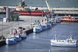 Hanstholm Havn er for alvor trukket i arbejdstøjet.  Foto: Fra 2016 og flere år frem vil Hanstholm Havn årligt investere tocifrede millionbeløb i den eksisterende havn for at øge landingerne af fisk og styrke serviceindustrien.