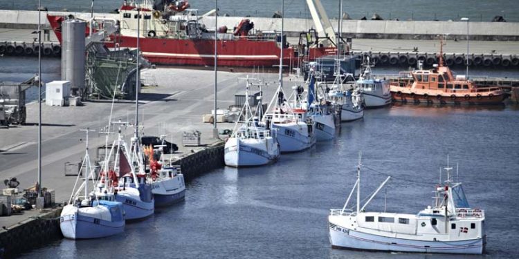 Hanstholm Havn er for alvor trukket i arbejdstøjet.  Foto: Fra 2016 og flere år frem vil Hanstholm Havn årligt investere tocifrede millionbeløb i den eksisterende havn for at øge landingerne af fisk og styrke serviceindustrien.