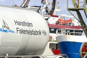 Hanstholm Fiskemelsfabrik investerer og skærper kampen om råvarerne.  Foto: Hanstholm Fiskemelsfabrik