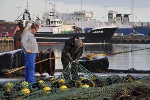 Serviceprojektet offentliggør stor fiskeriundersøgelse  Foto: FiskerForum