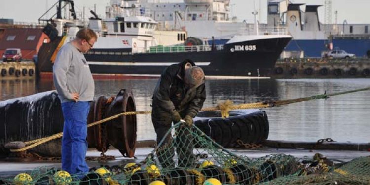 Serviceprojektet offentliggør stor fiskeriundersøgelse  Foto: FiskerForum