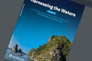 Akvakultur leverer i dag knap 60 % af verdens fisk og skaldyr, og sektoren rummer et gigantisk potentiale. Ifølge Verdensbankens nyeste rapport, '[Harnessing the Waters: A Trillion Dollar Investment Opportunity in Sustainable Aquaculture](https://documents1.worldbank.org/curated/en/099062325120031041/pdf/P175786-db3d7dea-5971-4c3c-9f12-1cf892450594.pdf)', kan sektoren skabe op mod 22 millioner job globalt frem mod 2050. foto: Harnesing the waters