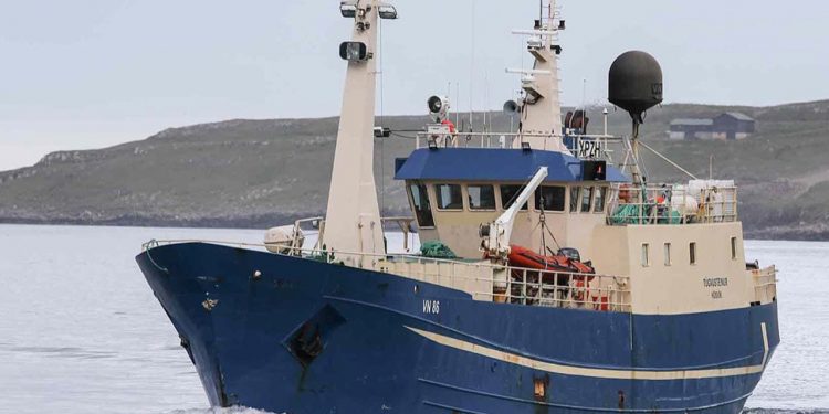 Færøerne: Blandet fisk fra en kvart million og op, landet i Torshavn og Leirvik. privatfoto fb