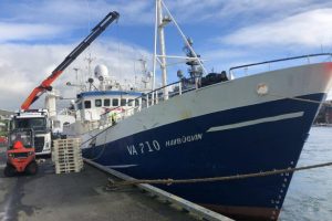 Færøerne: På Streymoy landes der lange og hellefisk samt torsk - foto: fiskur