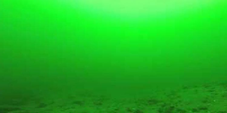 Ny auktion over råstofindvinding bliver 23. april 2015  foto: billede af havbunden af Øresund - FiskerForum