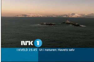 Fantastisk og fascinerende Norsk film om sild  Foto: NRK