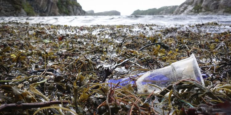 Barentshavet er hårdt ramt af plastik- og mikroplast-forurening fotograf: Torhild Dahl / Havforskningsinstituttet