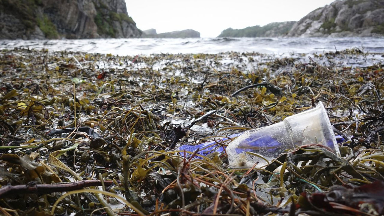 Read more about the article Barentshavet er hårdt ramt af plastik- og mikroplast-forurening