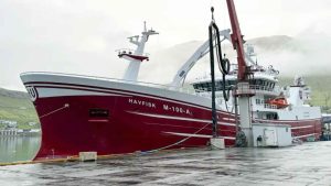 I Fuglefjord landede det norske skib **Havfisk** sin første last siden det blev en del af den norske flåde – hele 1.950 tons blåhvilling blev leveret til Havsbrún. Med gode fangster i bagagen returnerede skibet straks til havet for at fortsætte fiskeriet. foto: JB fiskur.fo