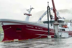 I Fuglefjord landede det norske skib **Havfisk** sin første last siden det blev en del af den norske flåde – hele 1.950 tons blåhvilling blev leveret til Havsbrún. Med gode fangster i bagagen returnerede skibet straks til havet for at fortsætte fiskeriet. foto: JB fiskur.fo