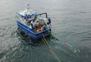 Fra søndag den 19. til lørdag den 25. april 2026 er forskningsskibet Havfisken på feltarbejde i Kattegat.  foto: DTU