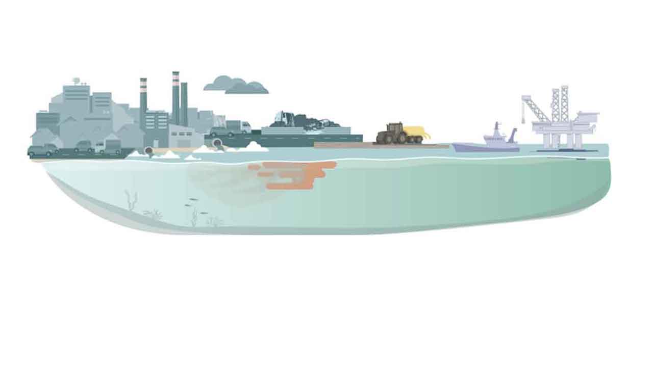 Read more about the article Fiskeriet får skylden – men det er spildevandet, der dræber havet